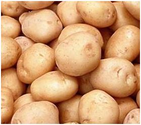 Как зарабатывать деньги на выращивании и продаже картофеля