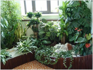Комнатные растения, как доступный вид «домашнего» цветочного бизнеса
