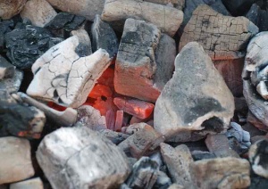 Заработок на производстве древесного угля