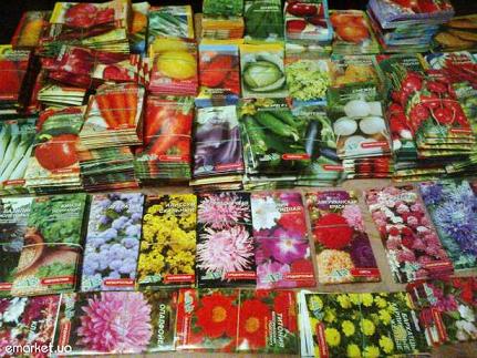 Развитие бизнеса по продаже семян овощей и цветов