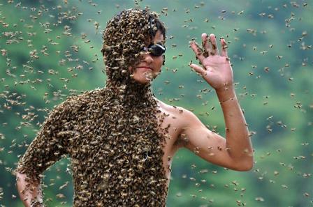 Пчеловодческий бизнес