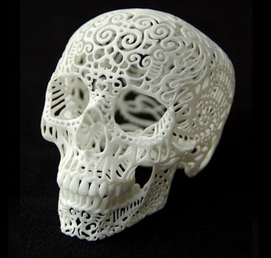 Ажурная модель черепа в профиль