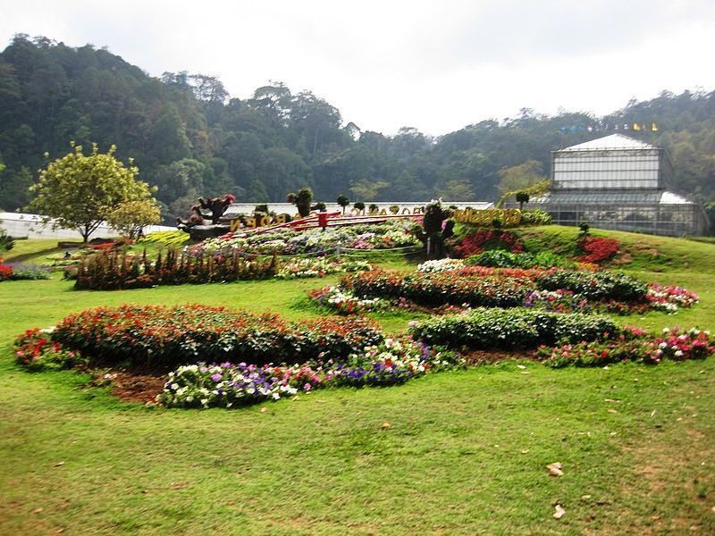 Сады Таиланда: сад Королевы Сирикит и Дворца Пху Пинг