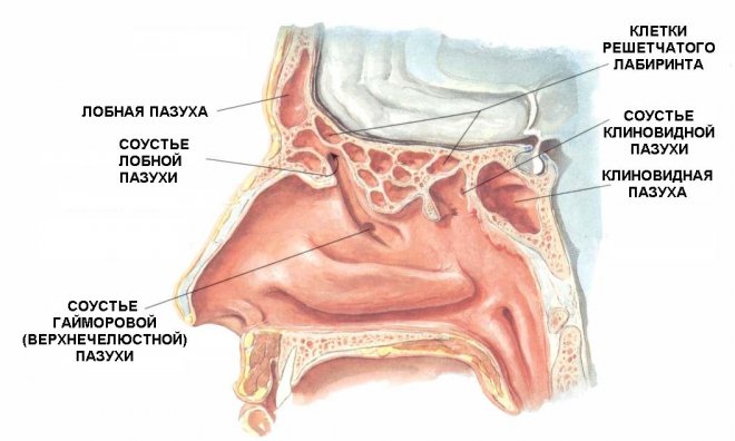 Лечение синуитов (синуситов): гайморита, этмоидита, фронтита