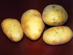 Для чего нужен ранний урожай картофеля? Как его вырастить?